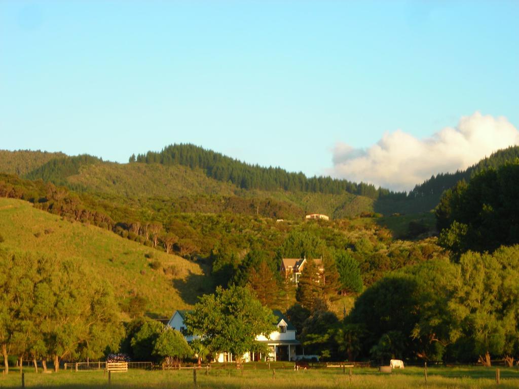Jacaranda Lodge Coromandel Exterior foto