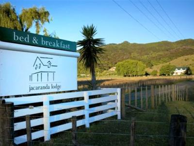 Jacaranda Lodge Coromandel Exterior foto