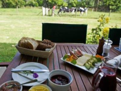 Jacaranda Lodge Coromandel Exterior foto